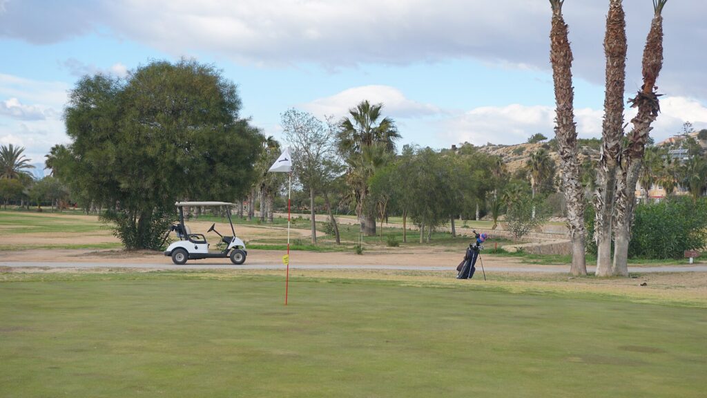 Un parcours de golf avec palmiers sur la Costa Blanca