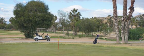 Un parcours de golf avec palmiers sur la Costa Blanca