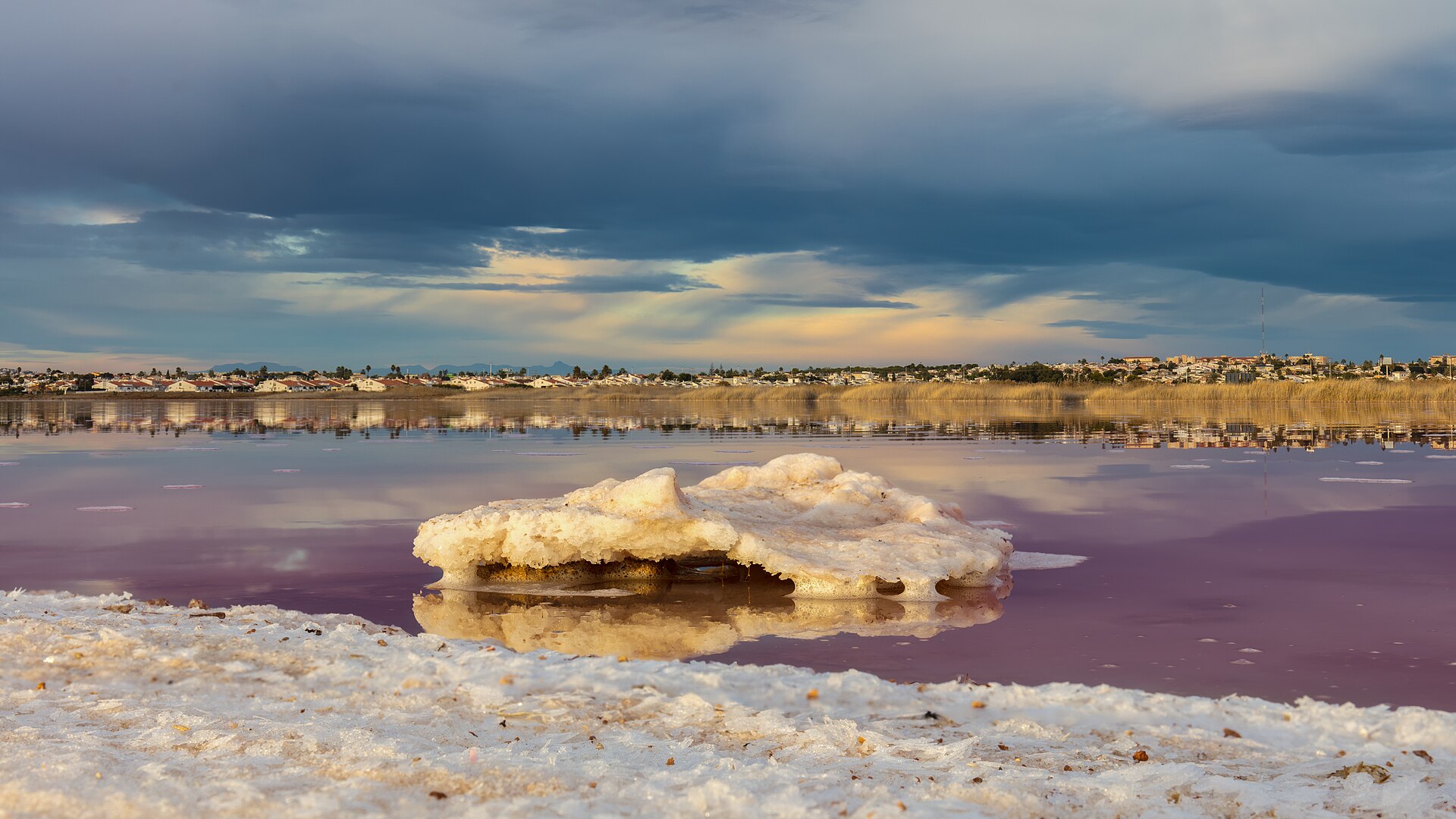 Les lagunes de Torrevieja et La Mata : une escapade nature à vingt minutes